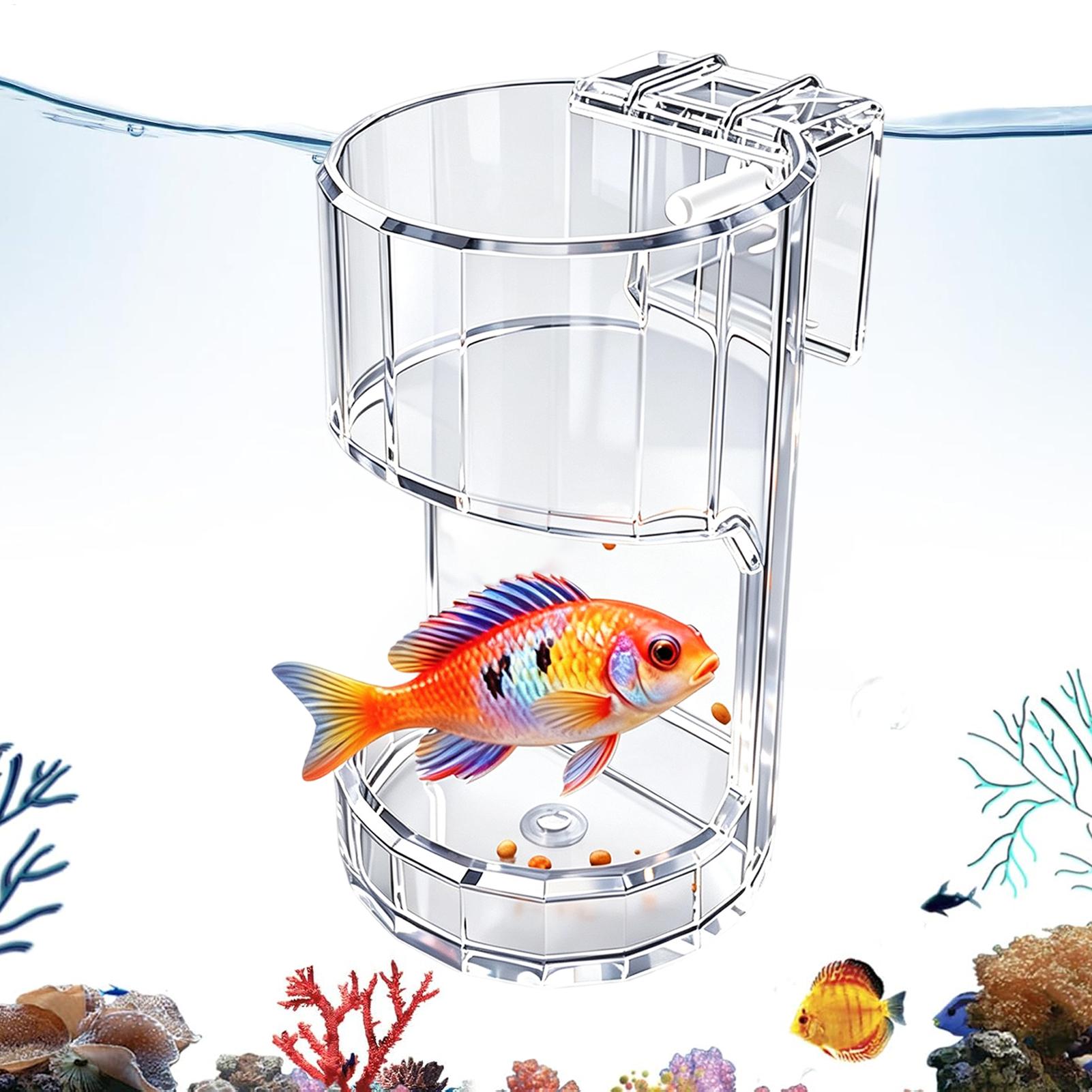 Marine Aquarium Live - 水族館給餌皿透明フードボウルホルダーコンテナ水族館魚フィーダーボックスカメエビベタホームリビングルーム用