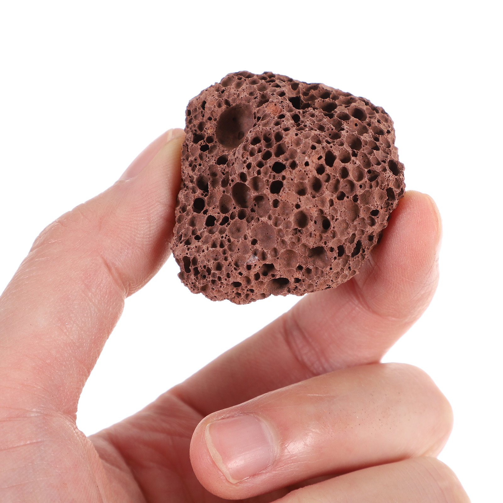 Aquarium Marine Rock - 火山岩製水槽底材 天然多孔質アクアリウムストーン 淡水・海水水槽用石