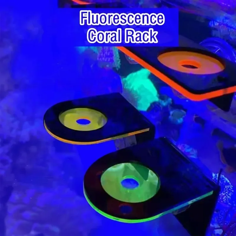 Aquarium And Marine - 水槽用アクリル製蛍光サンゴブラケットホルダー SPSブラケットツール マリンリーフタンク造景水槽アクセサリー