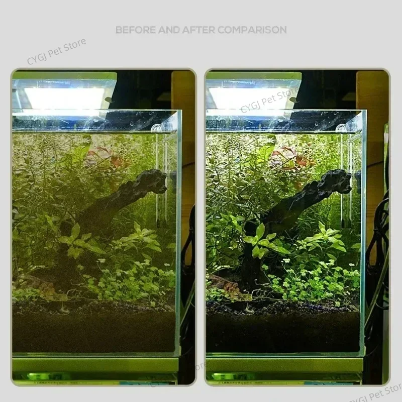水槽クリーニングツールフラット砂藻類除去デュアルユースガラス - Marine Aquarium Glass Cleaner のレビューと価格