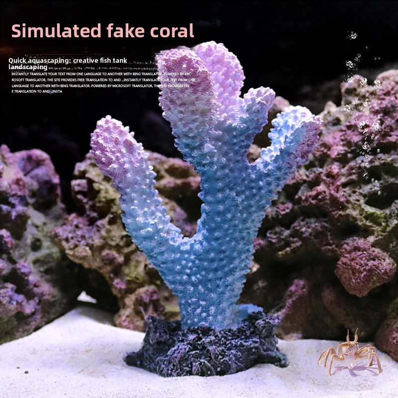 人工サンゴ礁装飾品 – 樹脂製水槽装飾、海水魚水槽用模擬岩貝 - Aquarium Marine Rock のレビューと価格