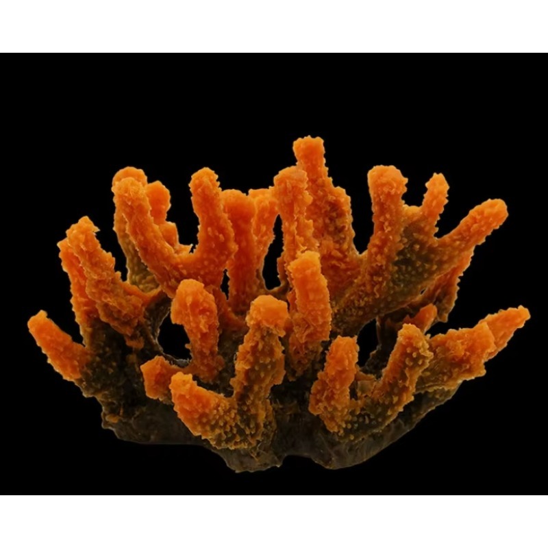 人工樹脂製サンゴ礁水槽装飾、カスタマイズ可能な海洋アクアスケ - Aquarium Marine Rock のレビューと価格