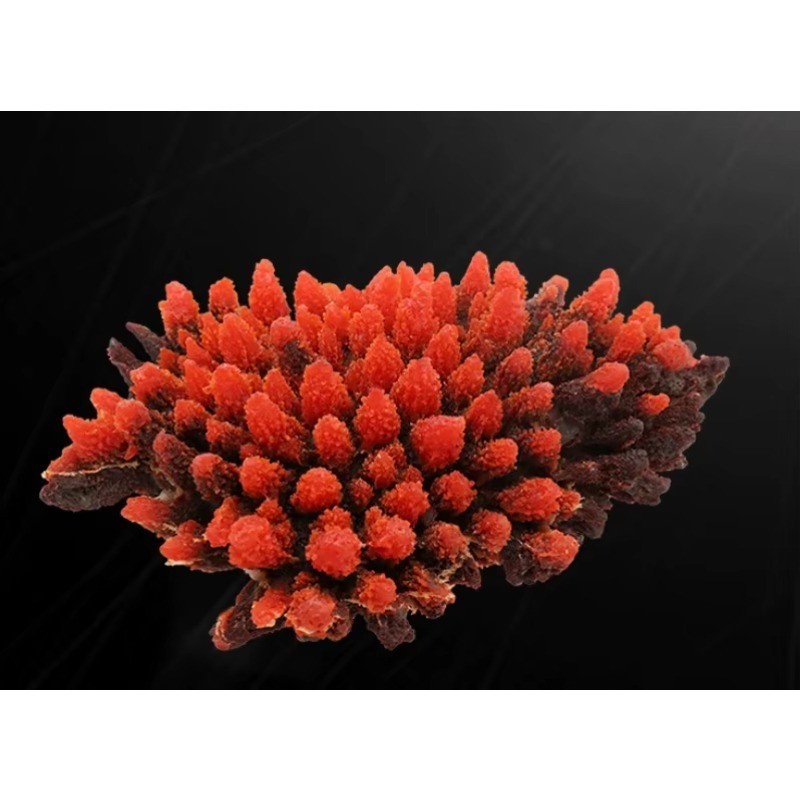 人工樹脂製サンゴ礁水槽装飾、カスタマイズ可能な海洋アクアスケ - Aquarium Marine Rock のレビューと価格
