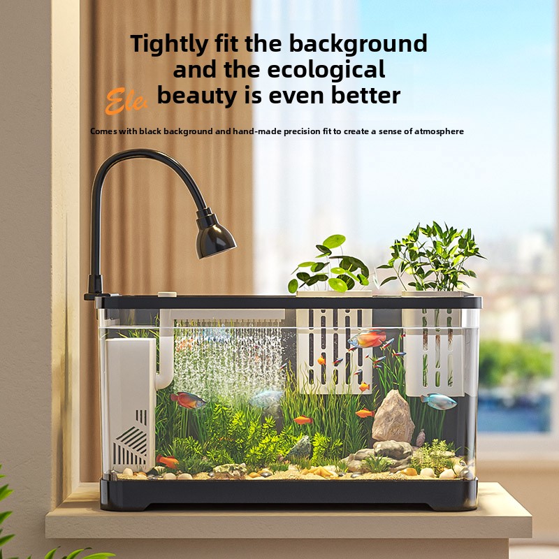2026年オールインワン水槽フィルター酸素システム小型リビン - Marine Aquarium Live のレビューと価格