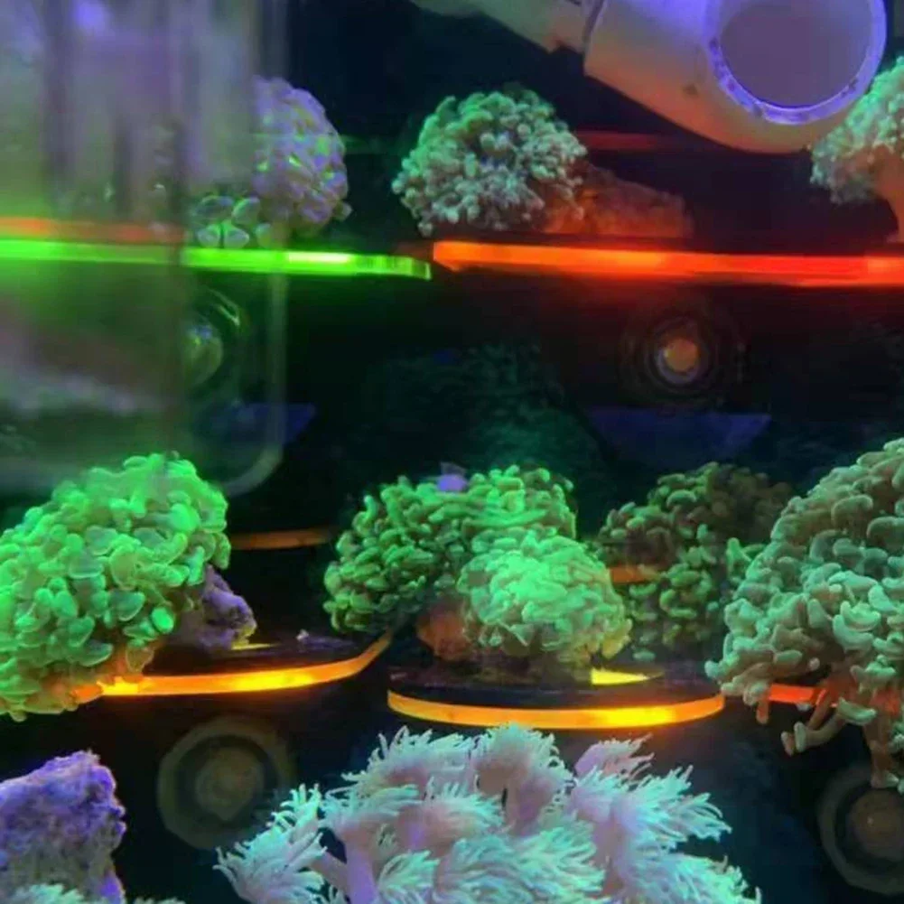 水槽用アクリル製蛍光サンゴブラケットホルダー SPSブラケッ - Aquarium And Marine のレビューと価格