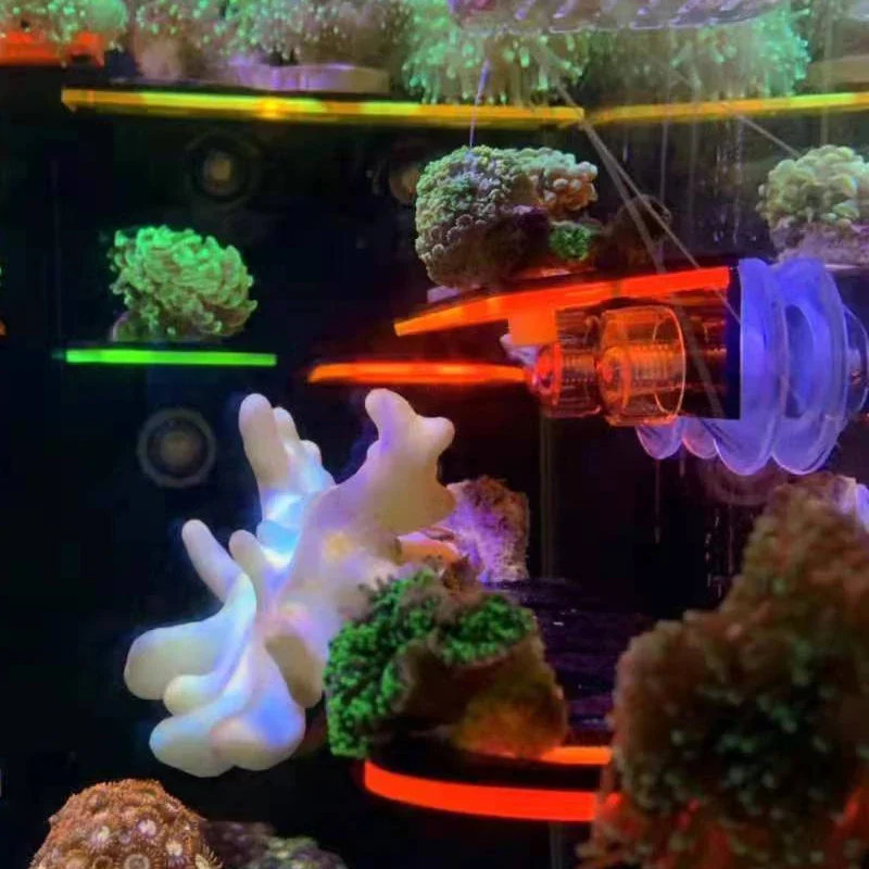 水槽用アクリル製蛍光サンゴブラケットホルダー SPSブラケッ - Aquarium And Marine のレビューと価格