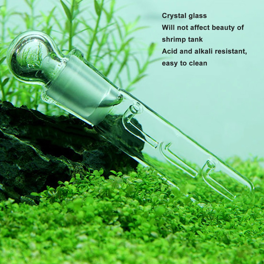 3個入り 簡単操作 透明なプランアリアトラップ お手入れ簡単 - Marine Aquarium Glass Cleaner のレビューと価格