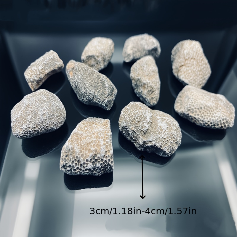 1個の天然珊瑚岩、水槽や水族館に適しています、天然のランダム - Aquarium Marine Rock のレビューと価格